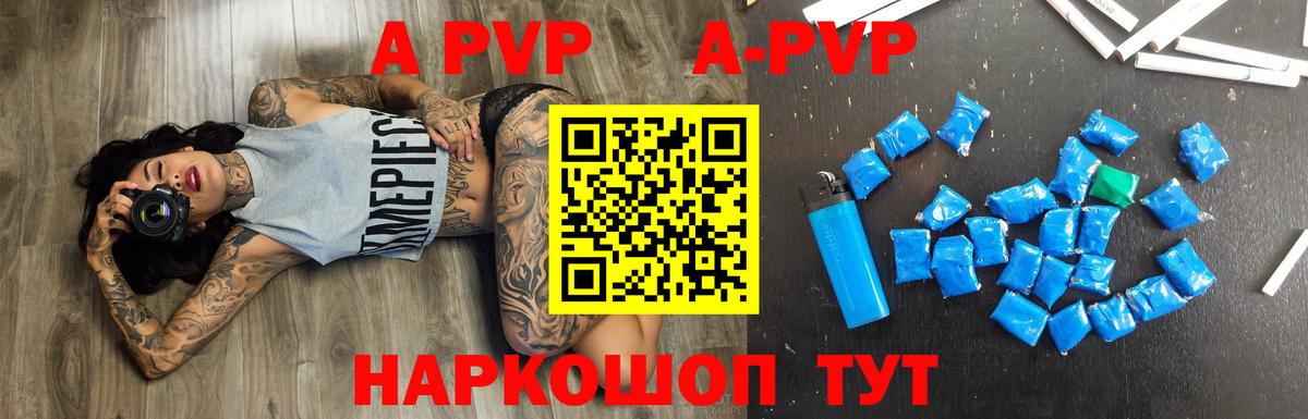 A PVP СК Асино