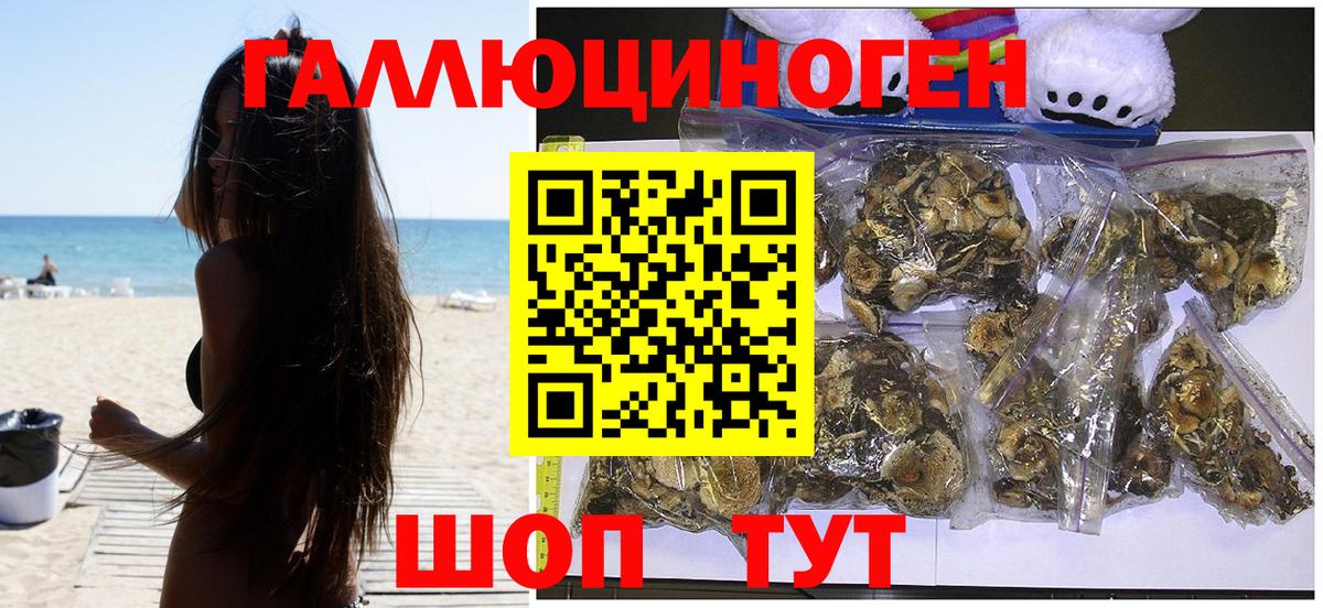 Асино  Псилоцибиновые грибы ЛСД  Вход с VPN  Псилоцибиновые грибы мухоморы 